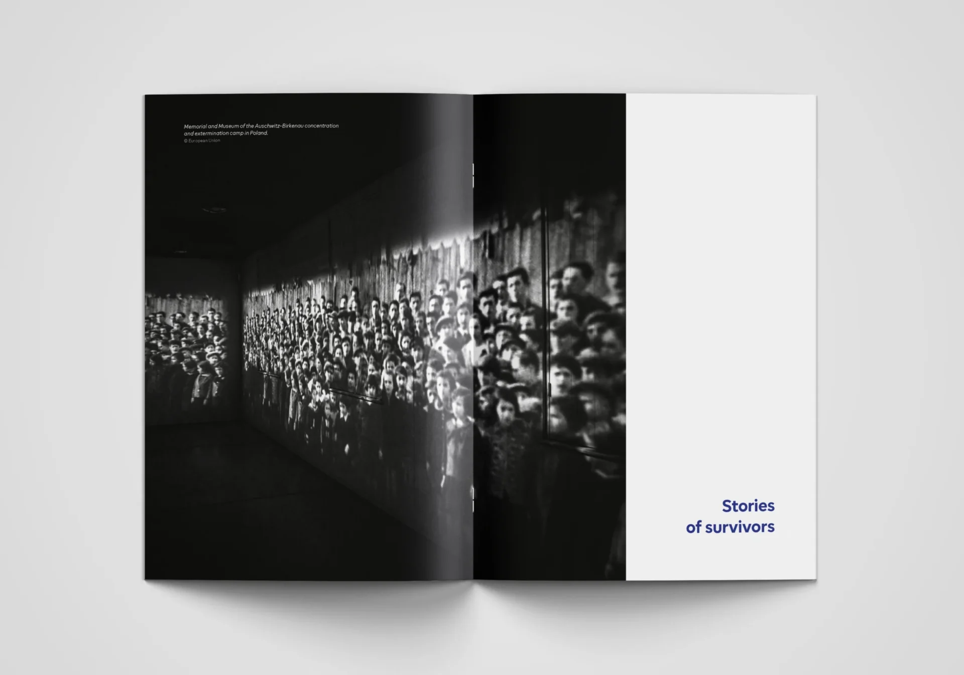 Booklet spread with a large photograph covering most of the two pages and the title 'Stories of survivors' placed in the bottom right corner of the right page.